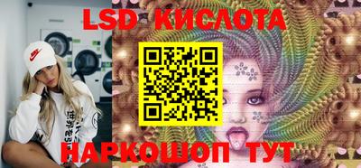 шишки Моздок