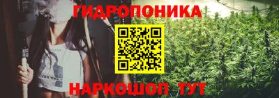 мдпв Можга