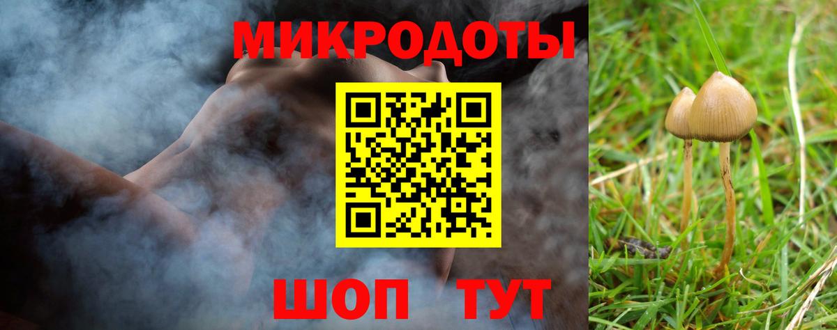 Галлюциногенные грибы MAGIC MUSHROOMS Курганинск